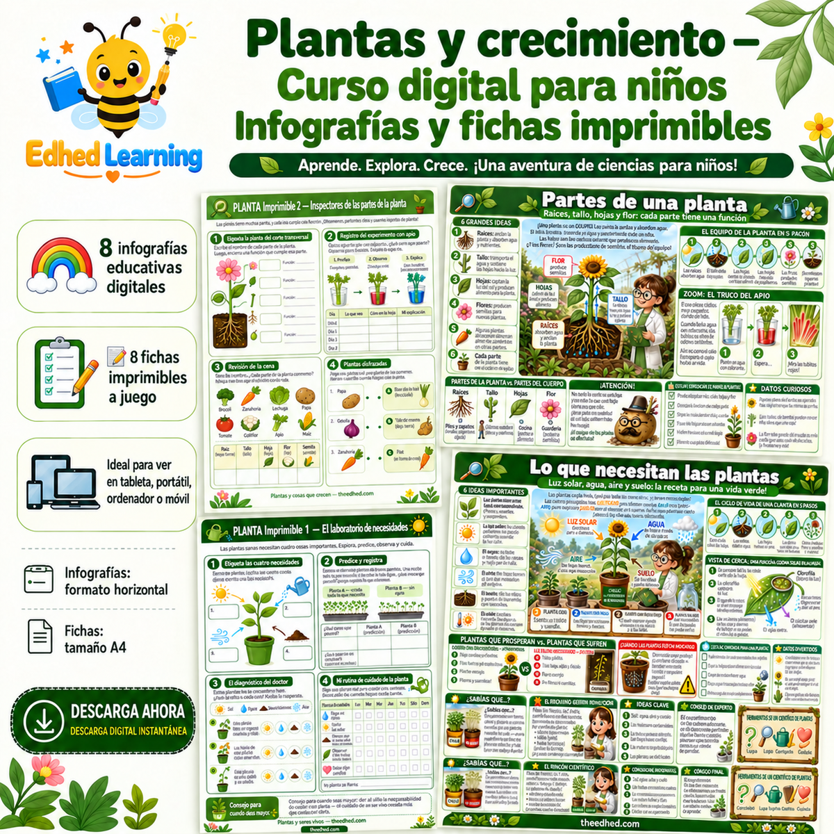 Plantas y crecimiento: 8 infografías y 8 fichas imprimibles en español