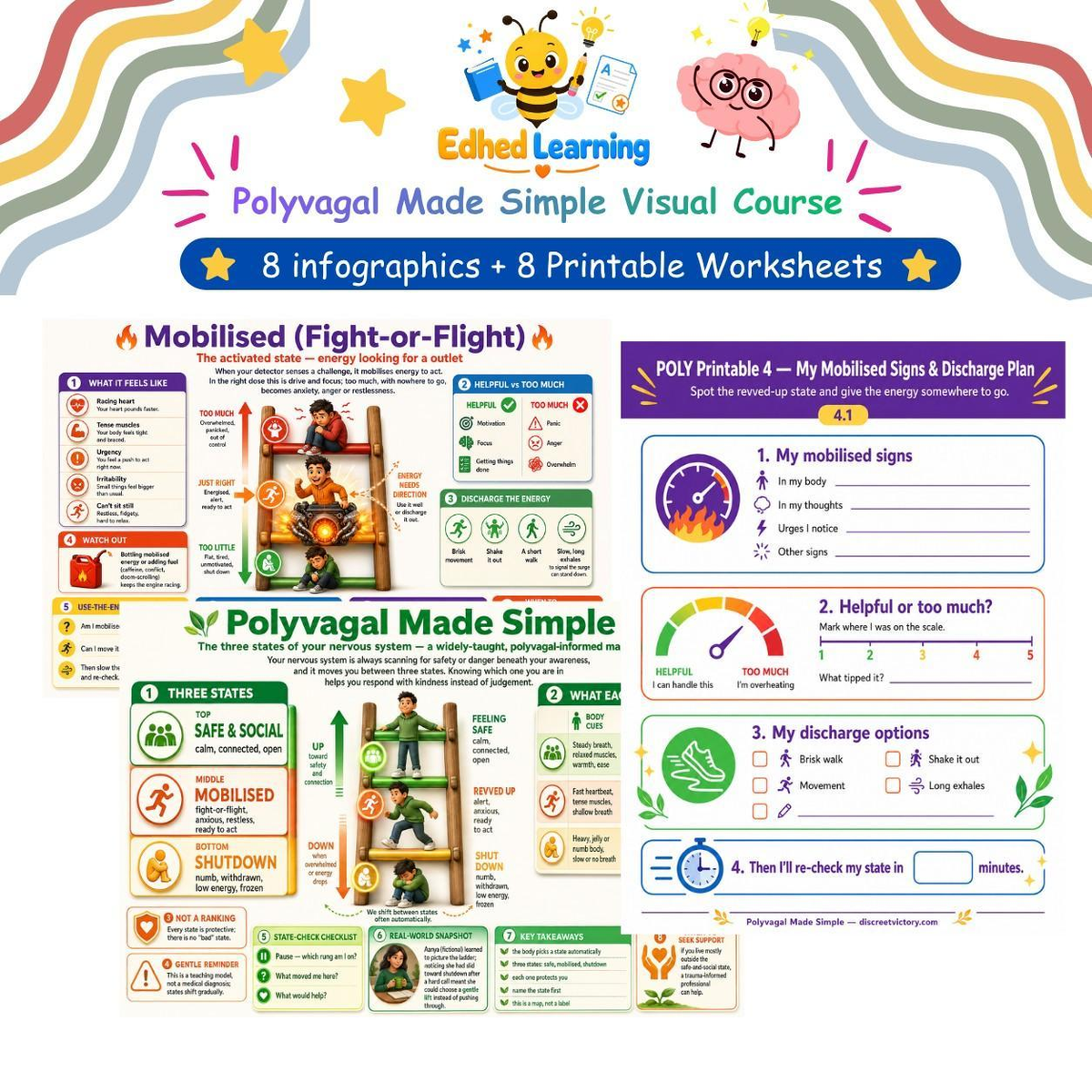 Edhed Learning Polyvagal Made Simple Visual Course: Nervous System Education & Printable Worksheets digital course product image
