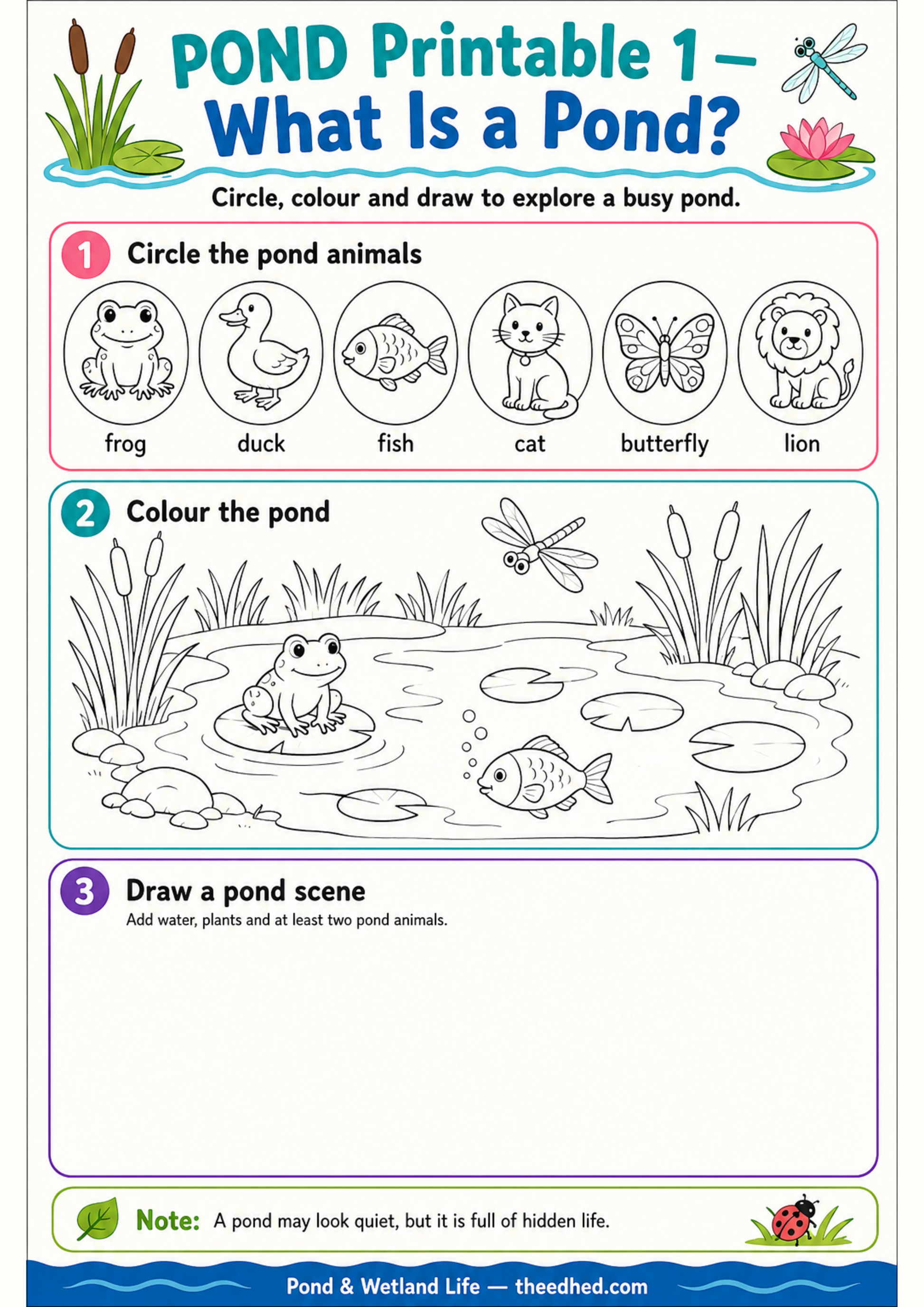 What Is a Pond A4 printable worksheet with circling colouring and drawing activities