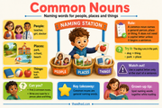 Grade 1 parts of speech infographic 01