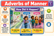 Grade 2 parts of speech infographic 01