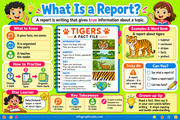 What Is a Report educational infographic for children