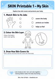 My Skin matching, colouring and drawing printable worksheet