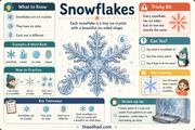 Snowflakes educational infographic showing six-sided ice crystal shapes