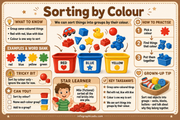 Sorting by Colour kids educational infographic - Sorting and Matching course