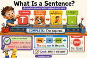 What is a sentence educational infographic showing subject, verb, capital letter and end punctuation