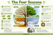 The Four Seasons educational infographic showing spring, summer, autumn and winter