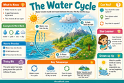 The Water Cycle educational infographic showing water moving from sea to sky to land