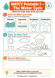 The Water Cycle A4 printable worksheet with ordering colouring and drawing activities