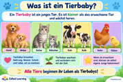 Was ist ein Tierbaby? – Infografik