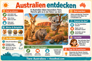 Deutsche Infografik 1: Australien entdecken mit Känguru, Koala, Wombat und Schnabeltier