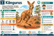 Deutsche Infografik 2: Kängurus, ihre kräftigen Hinterbeine und das Jungtier im Beutel