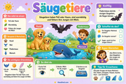 Infografik 2 aus dem Lernpaket Die fünf Tiergruppen – Edhed Learning