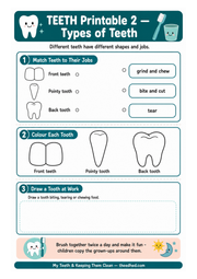 Types of Teeth matching colouring and drawing printable worksheet