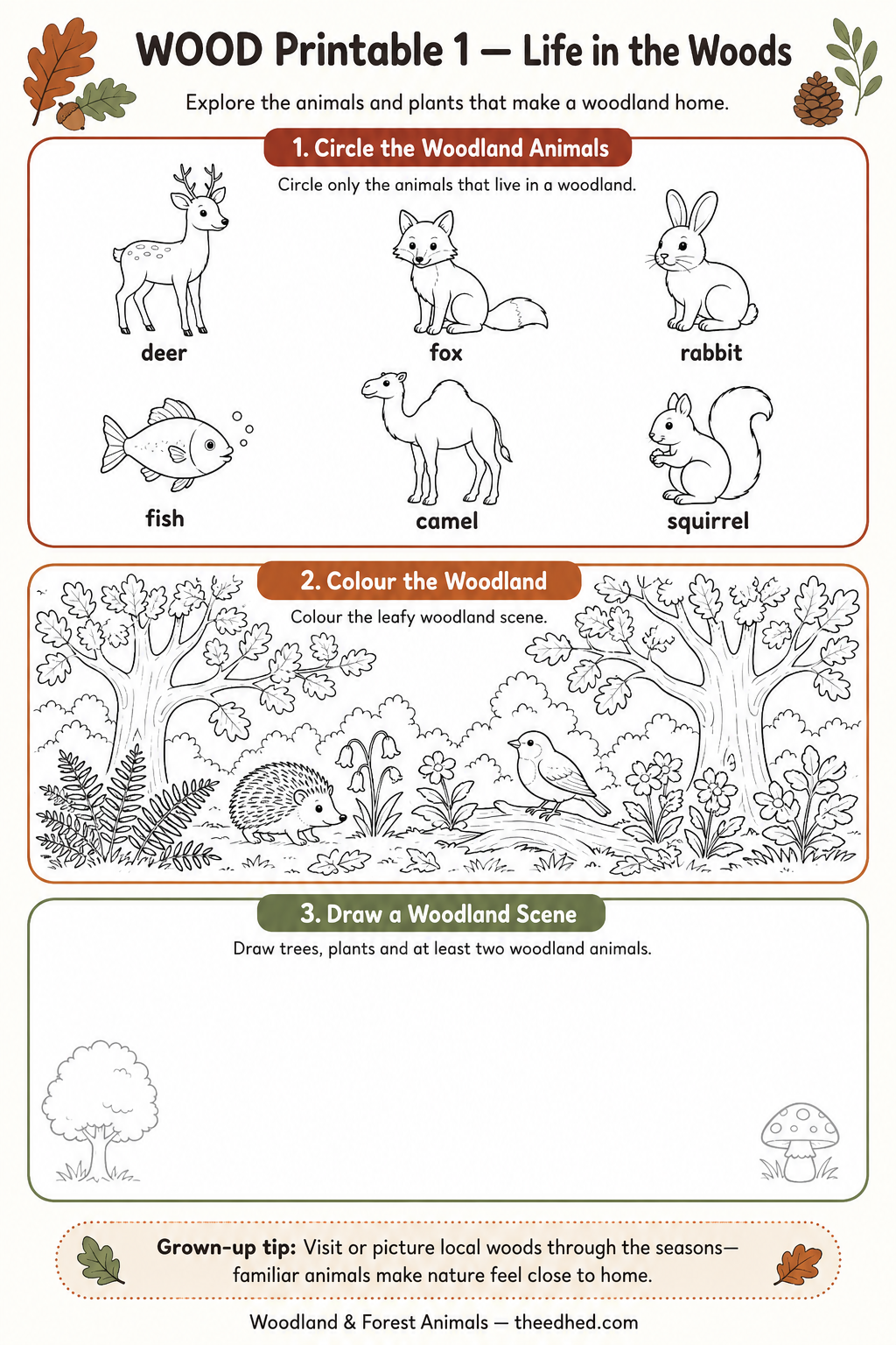 Life in the Woods printable activity worksheet for ages 5 to 7